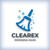 Proffesionel Cleaning Service Logo